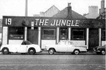 Jungle the